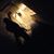 Mary Liera Lowentrout's profile image