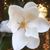 Stephanie Watson's profile image