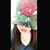 CinThya Vilela's profile image