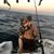 Nicolette Bastian's profile image