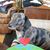Brenda Iozzia's profile image