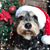 Laura King-Miller's profile image