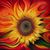 Diane Fernandez's profile image