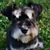 Leslie CarpenterHolt's profile image