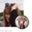 Christine Poole's profile image