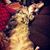Rachel Fuentes Richey's profile image