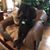 Peggy Hart's profile image