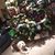 Vonda P Young's profile image