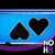 Michelle Majors's profile image