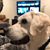 Wilfred L.'s profile image