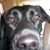 Sandy Sam Dobyns Rife's profile image