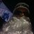 Hollis Gaines's profile image