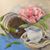 Holly Geddes's profile image