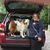 Susan Teel's profile image