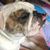 Madelyn Perez's profile image
