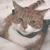 Frances Gipson's profile image