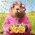 Linda Pierce Pollock's profile image