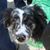 Gregory Bergquist's profile image