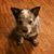Emily Brooke Schamens's profile image