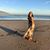 Bella Noel Sanford's profile image