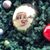 Renae Scebold's profile image