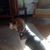 Irene Thorland's profile image