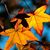 Doris Helms's profile image