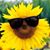 Samantha French's profile image