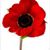 Donna Leslie's profile image