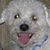 Nicholas Martin's profile image