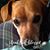 Brenda Kerwin's profile image