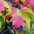 Sue Ellen Carlton's profile image