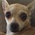 Carol Castle's profile image