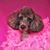 Julie Ann Parise's profile image