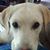 Sue Mantha's profile image