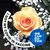 Judy Noe Conrad's profile image