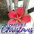 Pam Thomas's profile image