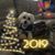 Michelle Hastings VanderMalle's profile image