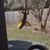 Ashley Wilson's profile image