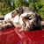 Debi Davis's profile image