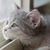 Laura Fletcher's profile image