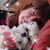 Susan Marino's profile image