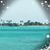 Wanda Price's profile image