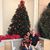 Lorraine Ann Harrod's profile image