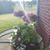Suzi Kurtz Mayberry's profile image