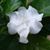 Wendy Wise's profile image
