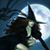 Holly Cytrynowicz's profile image
