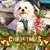 Rhonda Macduff's profile image