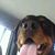 Pips Migipps's profile image