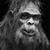 Nick Edwards's profile image
